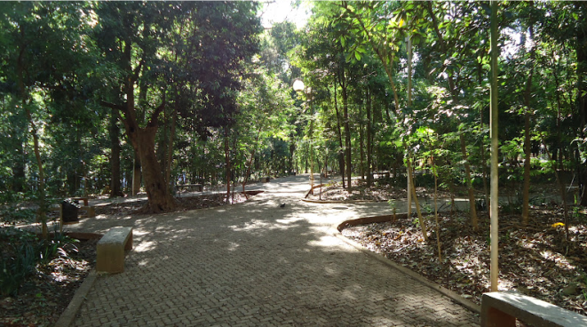 Bosque Central de Londrina
