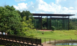 Jardim Botânico de Londrina