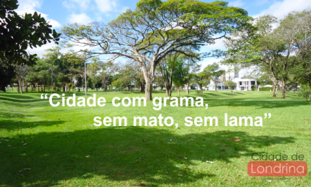 lei-que-obriga-plantio-de-grama-terrenos-particulares-londrina