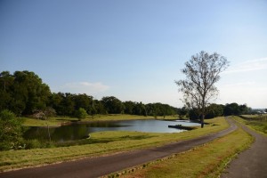 jardim-botanico-de-londrina-caminhada 
