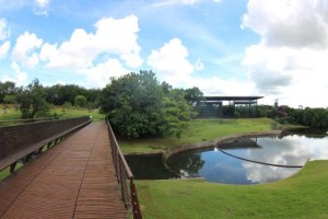jardim-botanico-de-londrina-passarela-lago 