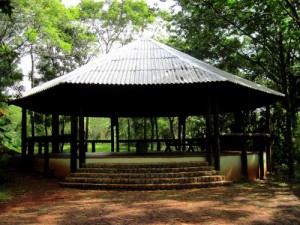 mata-dos-godoy-choupana-por-mariana-godoy 