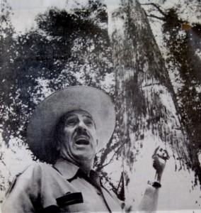 olavo-godoy-mata-dos-godoy 