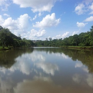 cidade-londrina-002-parque-arthur-thomas    