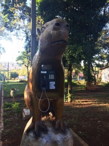 cidade-londrina-006-parque-arthur-thomas    