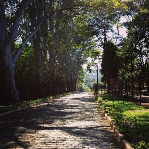 cidade-londrina-007-parque-arthur-thomas    