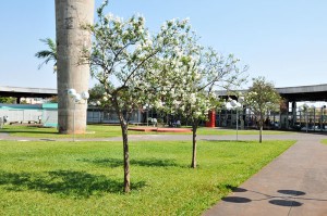 Praca